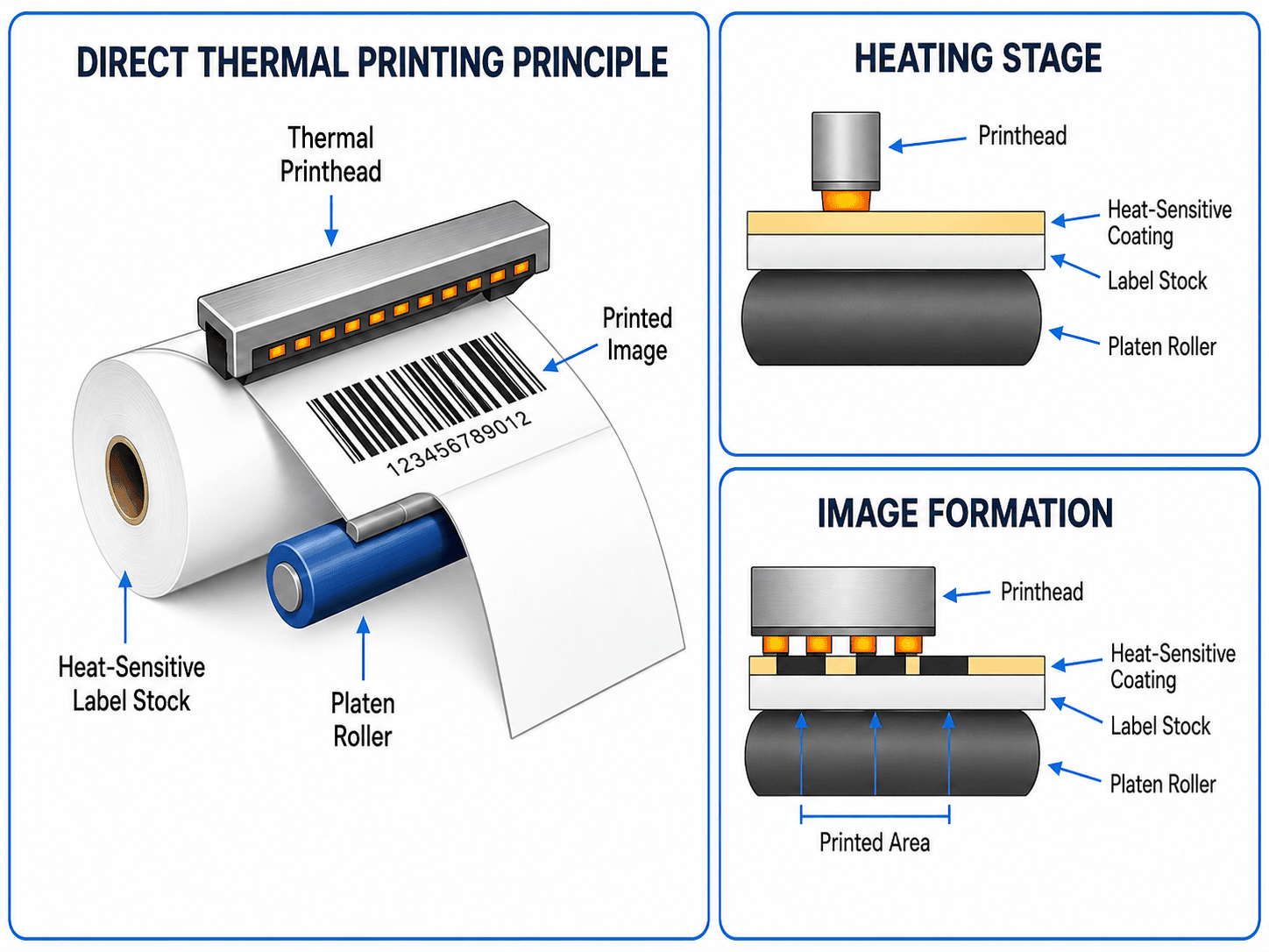 Direct Thermal Printing Principle Direct thermal printing principle diagram with thermal printhead and heat-sensitive label stock