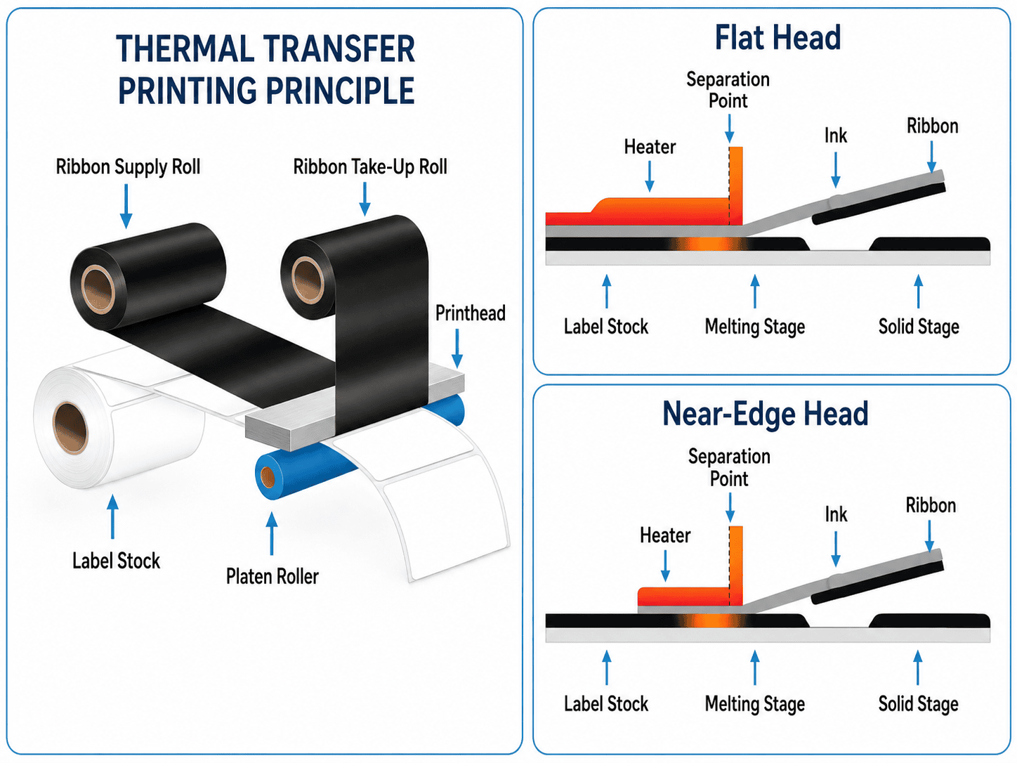 Thermal Transfer Printing Principle Thermal transfer printing principle diagram with ribbon supply roll ribbon take-up roll and printhead