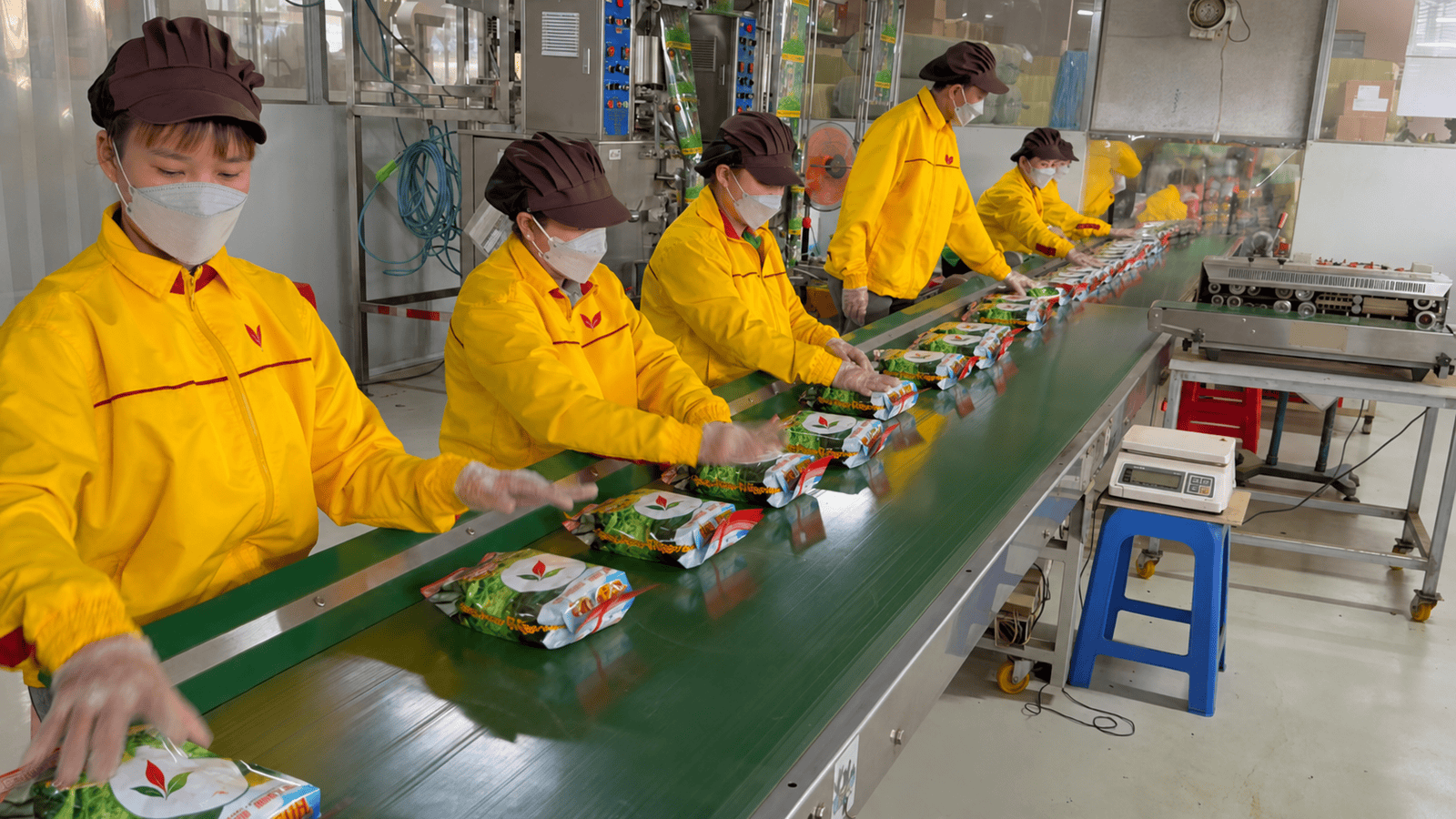 Tea Packaging Production and Sealing Line Workers handling packaged tea products on a conveyor line in a food packaging facility